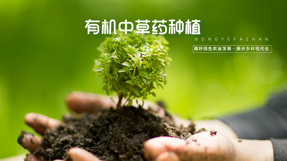 专业中草药服务商