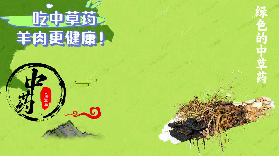 金晔食品品牌全案设计